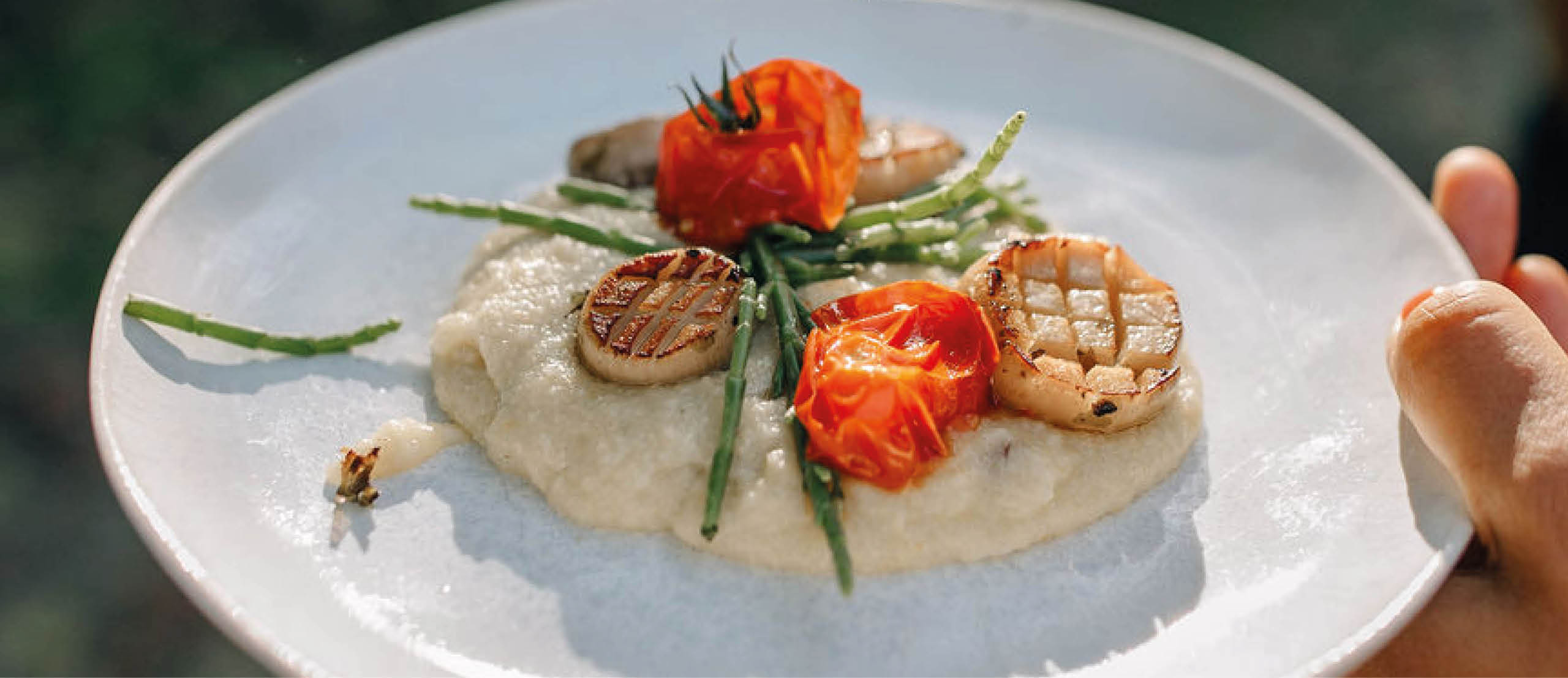 Vegan scallops on creamy polenta